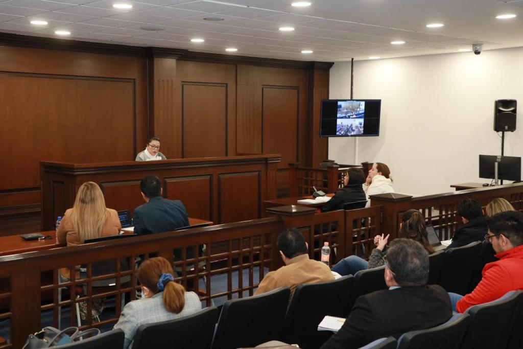 Un taller de capacitación en un tribunal, con jueces y juezas asistiendo a una sesión sobre materias familiar y civil mercantil.