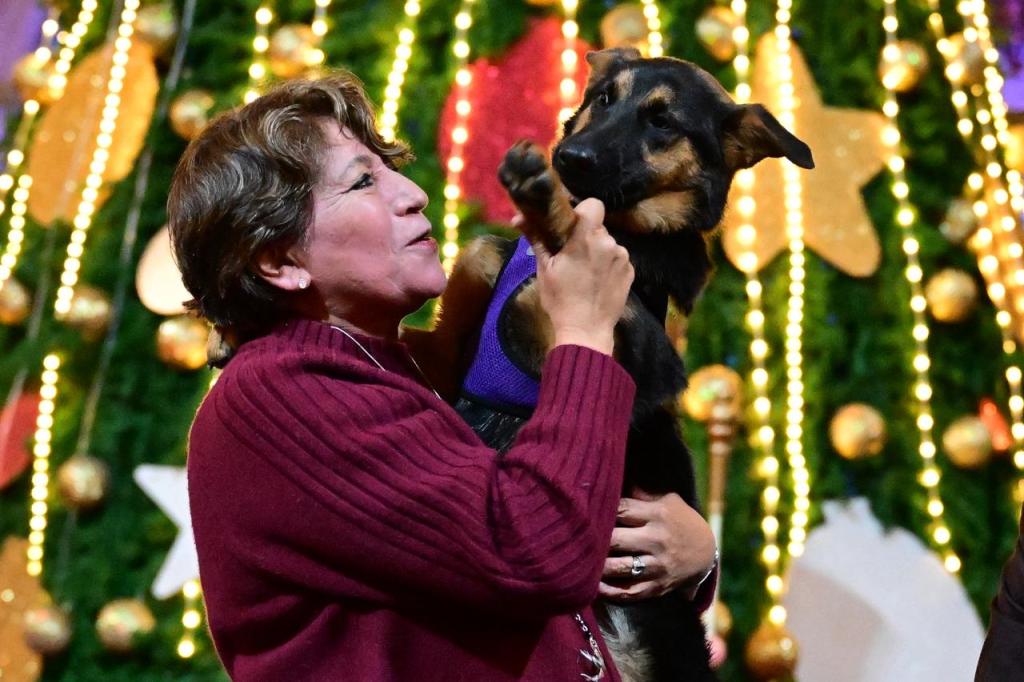 Una mujer sostiene a un perro mientras sonríe, con un fondo decorado con luces y adornos navideños.
