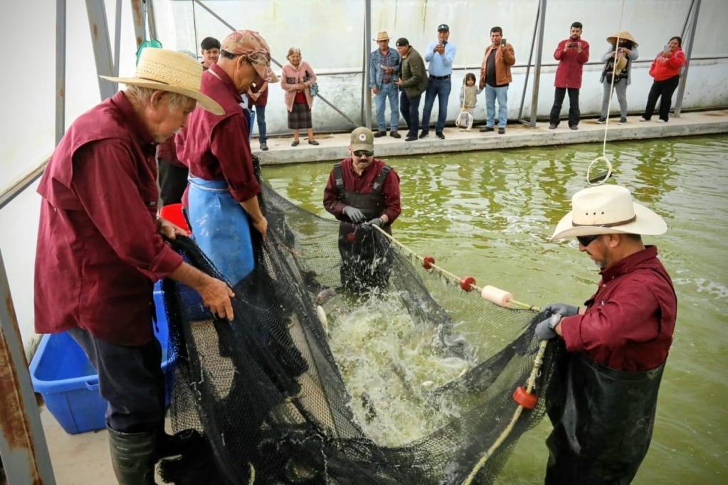 Un grupo de pescadores trabajando juntos para pescar en un centro acuícola, con un estanque lleno de agua detrás de ellos.