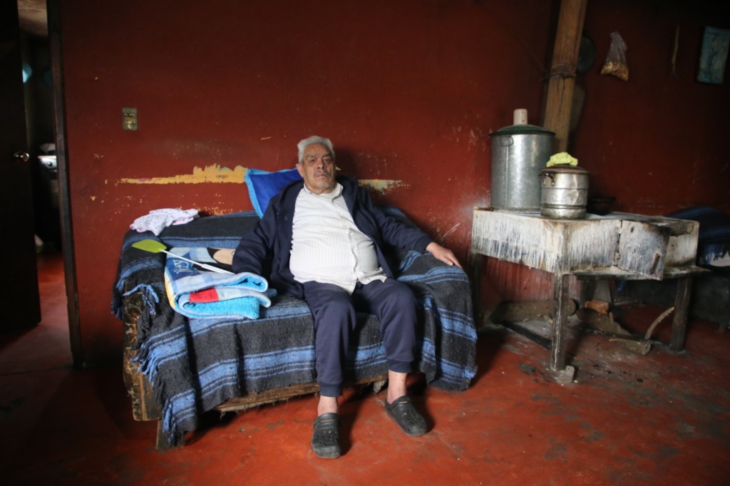 Raíces Nevado de Toluca