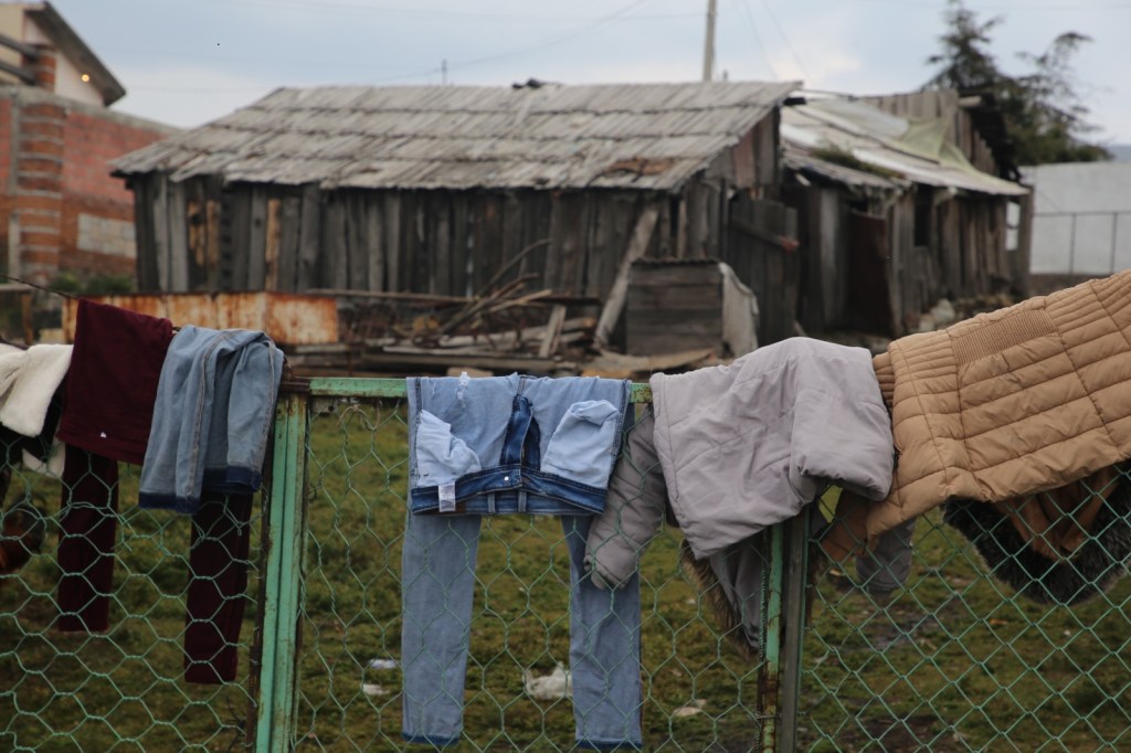 Raíces Nevado de Toluca