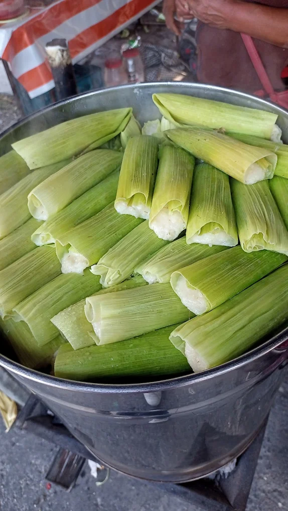 Tamales al vapor en una olla, envueltos en hojas de maíz, listos para ser servidos.