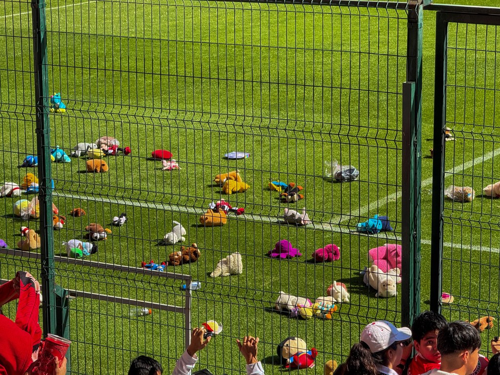Vista del campo de fútbol con varios peluches esparcidos por el césped y personas detrás de la cerca, observando el evento.