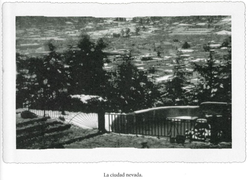 Vista de una ciudad cubiertas de nieve con árboles y un cercado.