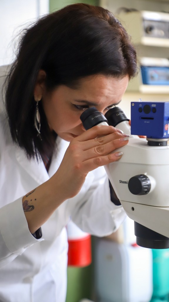 A woman in a lab coat looking through the eyepieces of a microscope, focusing on a sample.