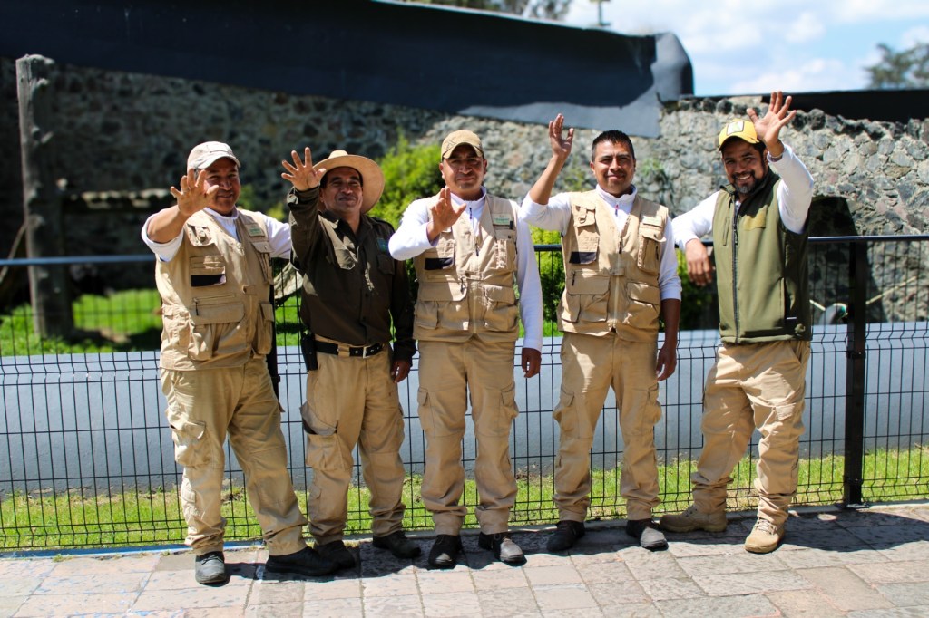 Zacango exposición camionetas