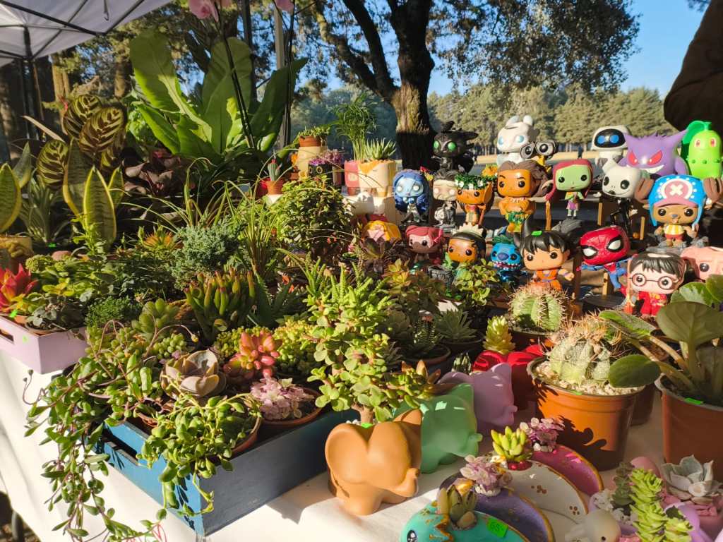 Mesa con una variedad de suculentas y plantas decorativas, junto a figuras coleccionables de personajes de anime y cómics.