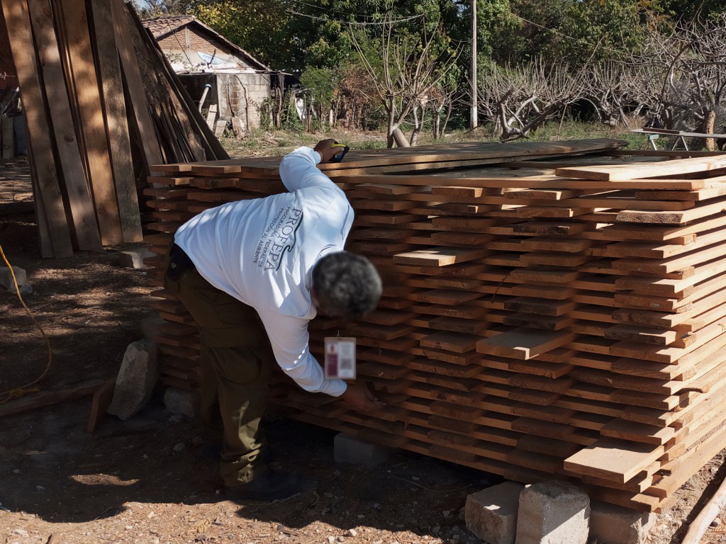 A person inspecting stacked wooden planks in a construction area, surrounded by trees and structures in the background.