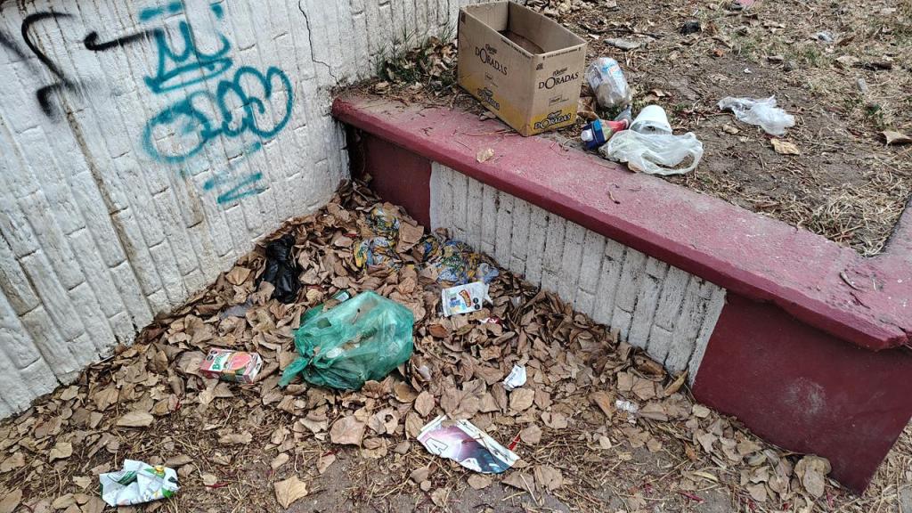 A littered area with fallen leaves, scattered trash, a green garbage bag, an empty cardboard box, and graffiti on the wall.