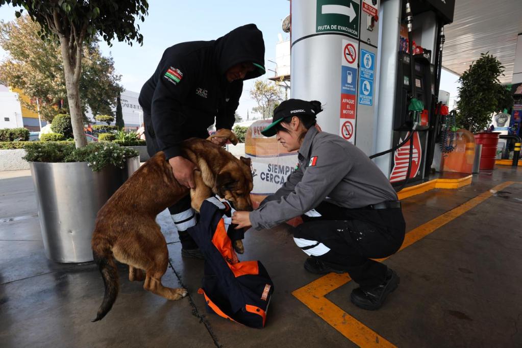 A gas station employee crouches down to assist a dog while another person helps hold the dog. The scene features a gas pump and greenery in the background.