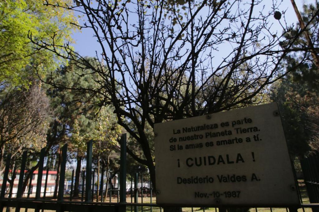 pago de gimnasios deducible en Edomex