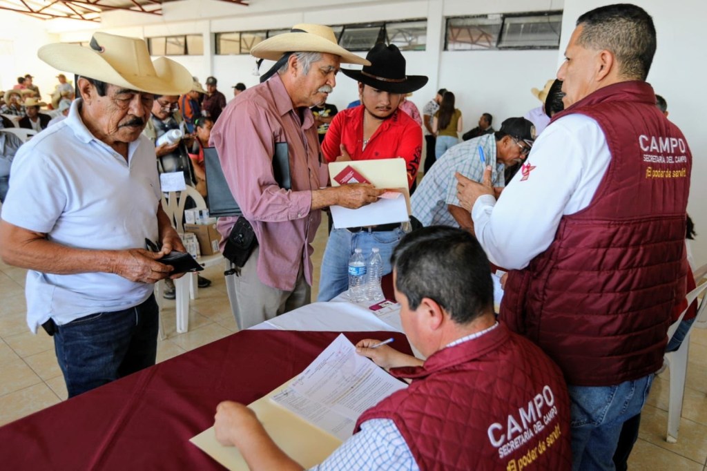 gusano barrenador estado de méxico