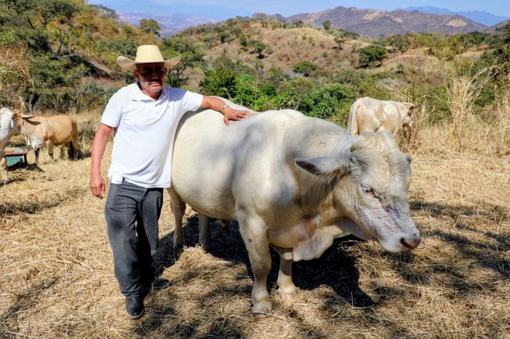 Hombre con sombrero de vaquero junto a una vaca blanca en un paisaje rural montañoso.