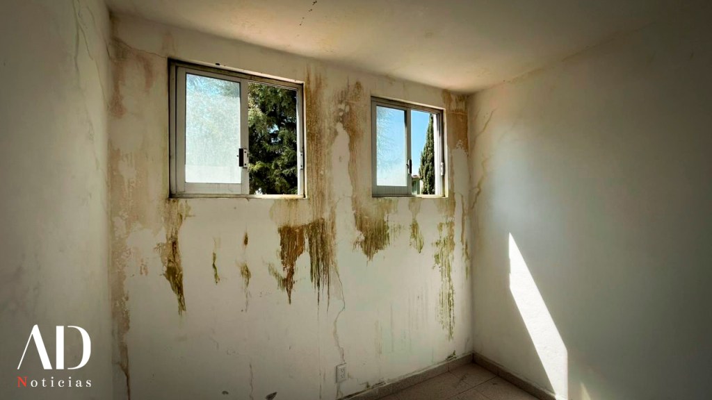 Interior de una habitación con paredes manchadas de humedad, mostrando dos ventanas y luz natural que entra.