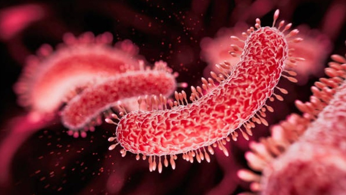 tuberculosis México 2026