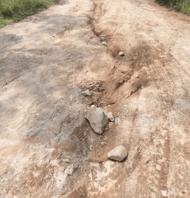 Camino de tierra con surcos y piedras visibles en la superficie.