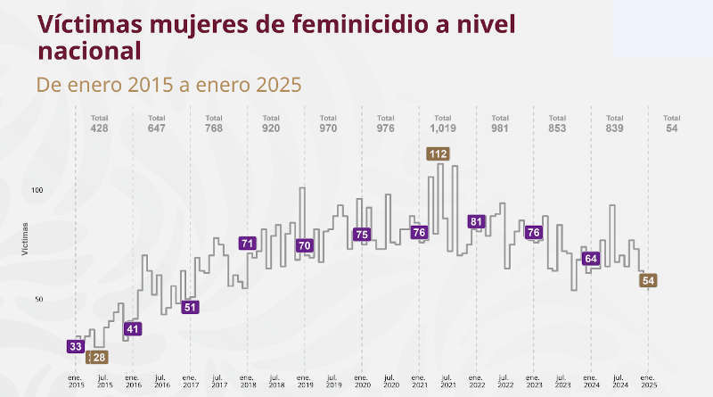 Graph showing the number of femicide victims in women at a national level from January 2015 to January 2025, with varying totals each year and notable trends.