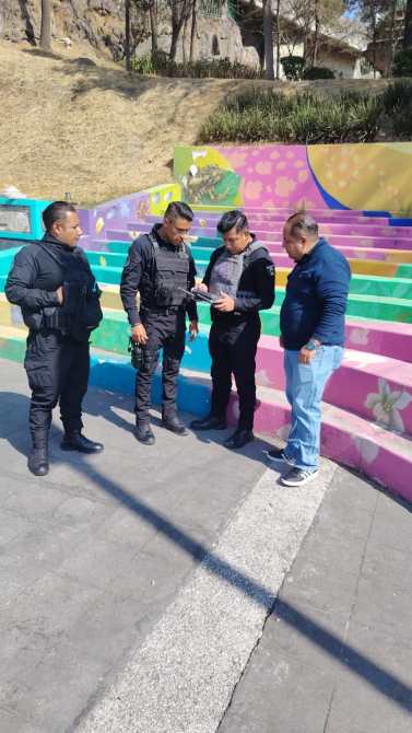 envenenamiento de cacomixtles en Toluca
