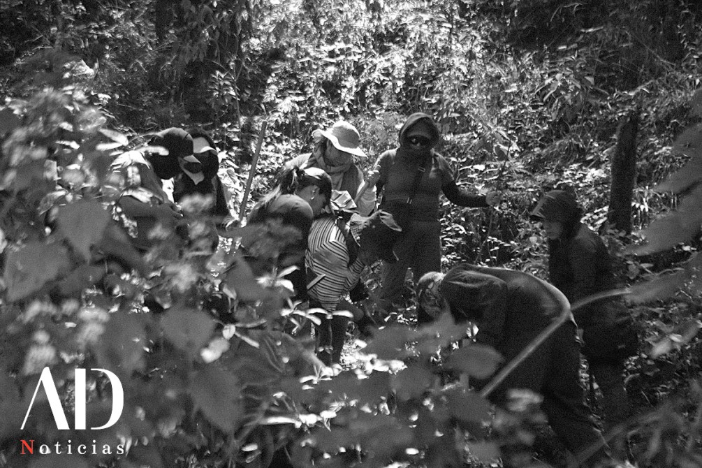 Grupo de personas trabajando en un entorno natural, rodeados de vegetación densa.