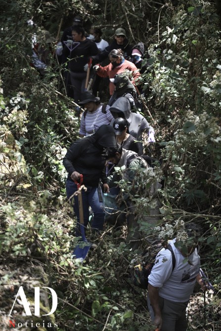 Grupo de personas trabajando en un área boscosa, algunos sosteniendo palas y herramientas, mientras se deshacen de la maleza.