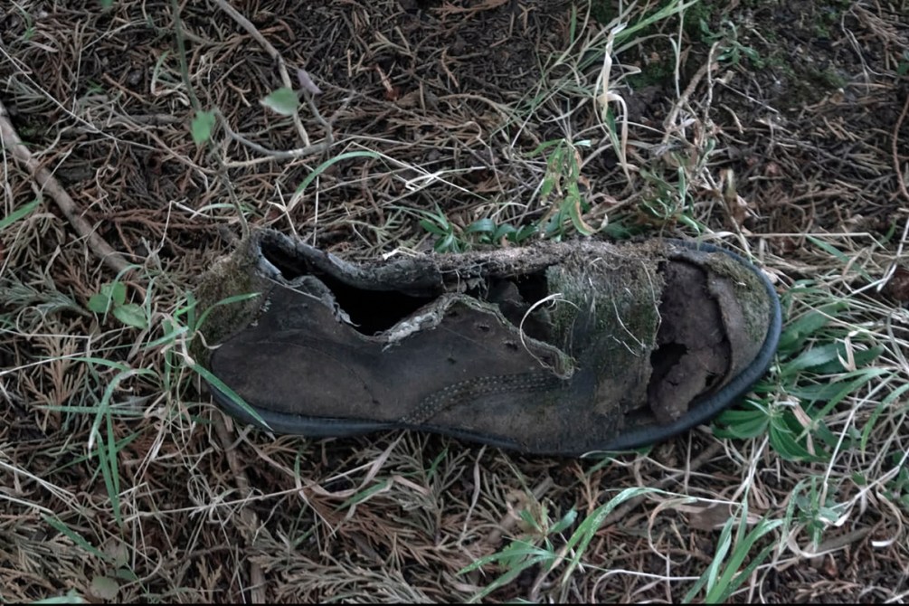 Zapato dañado y cubierto de tierra en un entorno natural, rodeado de hierba y hojas.