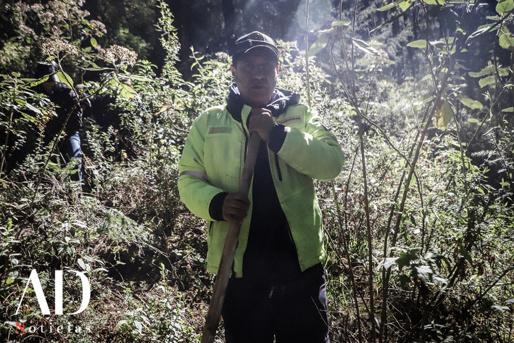 Hombre en un bosque, vestido con chaqueta amarilla y sosteniendo un palo, rodeado de vegetación.