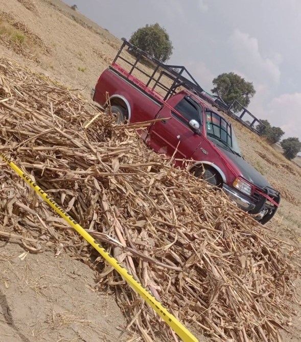 A red pickup truck partially buried in dry corn stalks in a field, with yellow caution tape in the foreground.