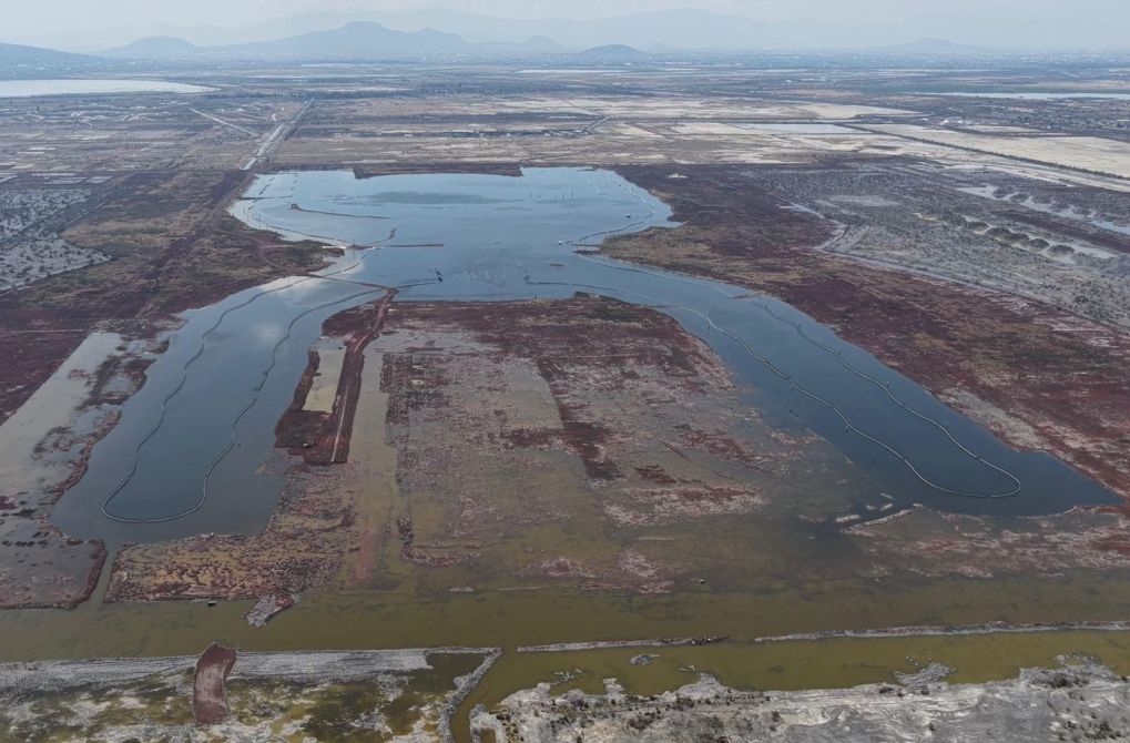 NAIM parque en Texcoco