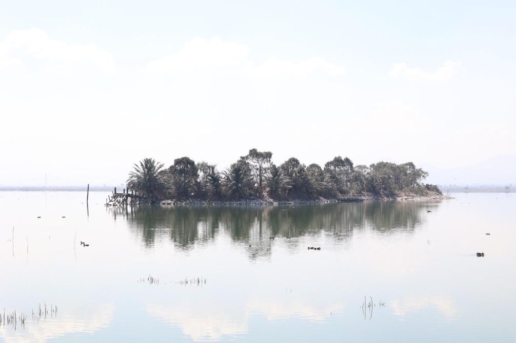 NAIM parque en Texcoco