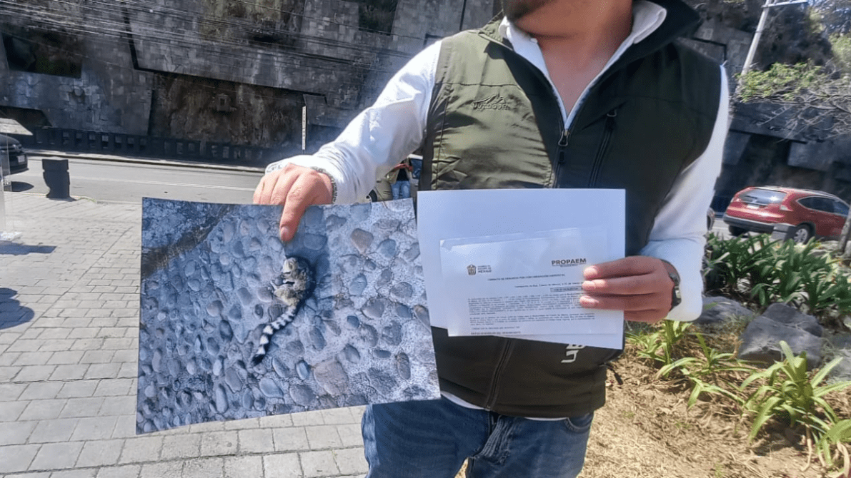 A person holding a photograph of a small animal on a cobblestone surface and a document outdoors.