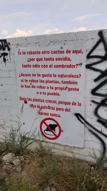 Cartel en una pared que denuncia el robo de cactus, con un mensaje sobre la envidia y el respeto hacia la naturaleza. Incluye un símbolo de prohibición sobre el robo de plantas.