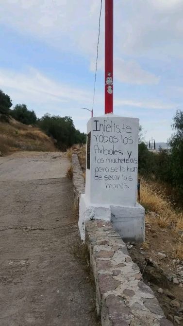 Un poste de luz en una carretera, con un mensaje escrito en una pared blanca que expresa descontento sobre robos y problemas sociales.
