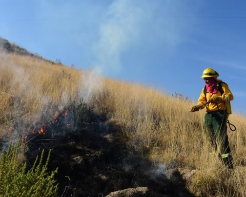 incendios en Luvianos 2026 bosque fuego