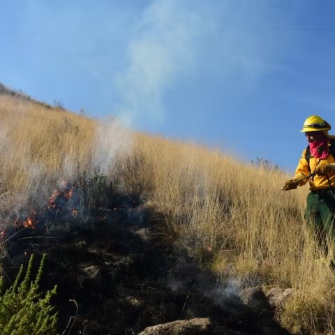 incendios en Luvianos 2026 bosque fuego