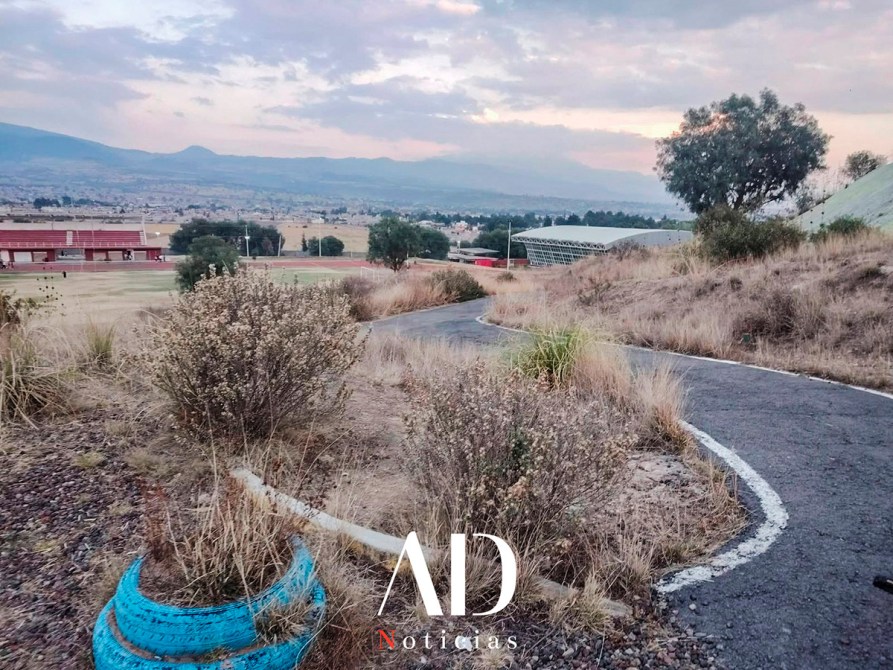 Sendero curvado rodeado de hierba seca y arbustos, con vista a un paisaje montañoso y un cielo nublado al atardecer.