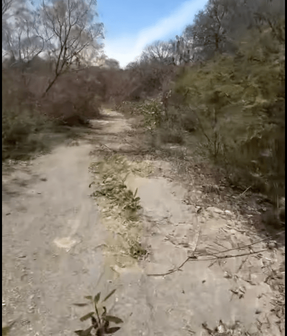 Sendero de tierra rodeado de vegetación seca y arbustos en un día soleado.