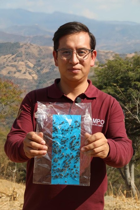 Hombre sosteniendo una bolsa transparente con insectos en un paisaje montañoso.