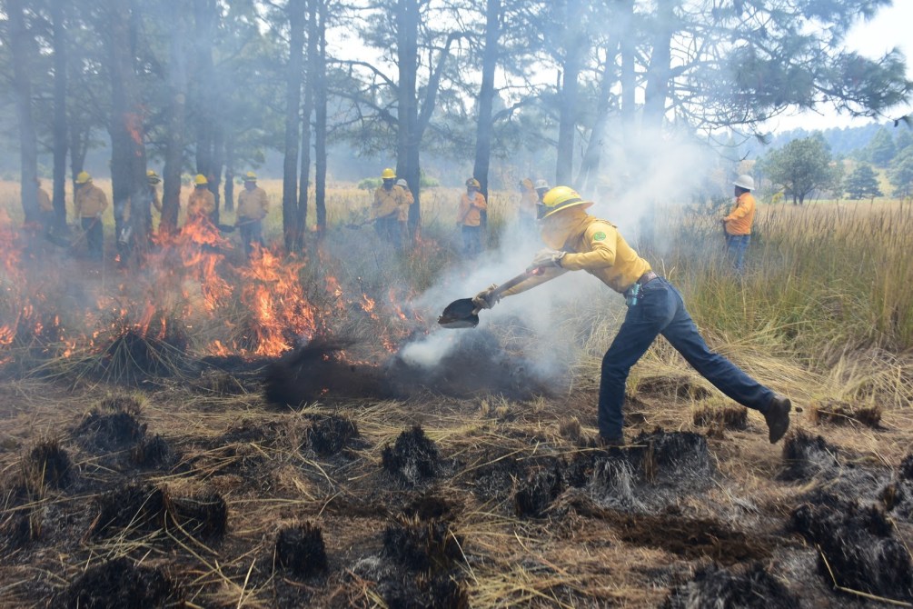 Un bombero apaga un fuego mientras otros observan en el fondo, rodeados de árboles.