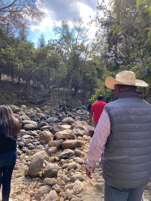 Grupo de personas caminando a lo largo de un arroyo con piedras, rodeados de árboles y naturaleza.