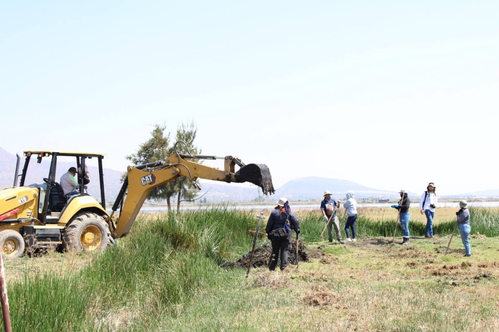 Un grupo de personas trabajando en un campo, con una excavadora amarilla en primer plano.