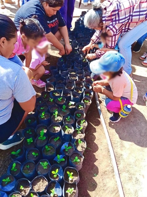 Grupo de personas, incluidos niños, trabajando juntos en la siembra de plantas en macetas negras, al aire libre.