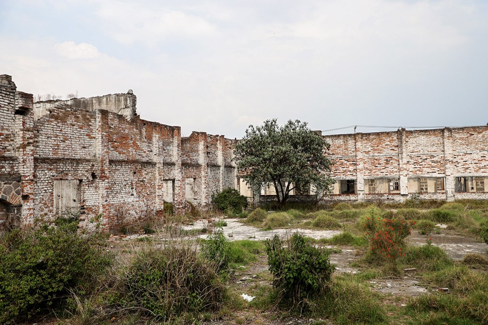 Ruinas de una estructura de ladrillo con paredes desgastadas, rodeadas de vegetación y un árbol en el centro.