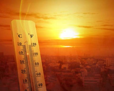 Ola de calor