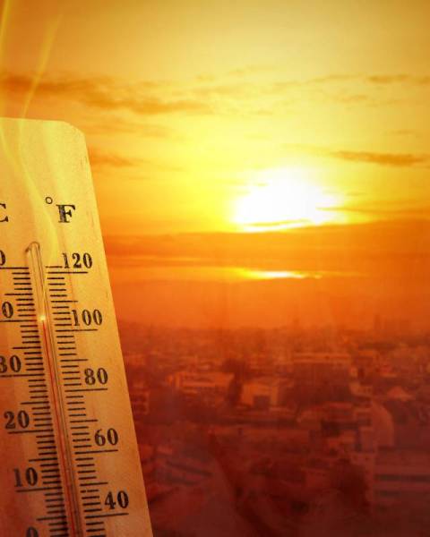 Ola de calor