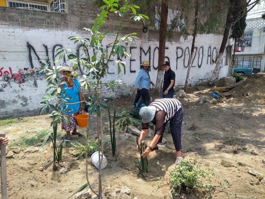 A group of people planting trees and plants in a community garden with a graffiti background stating 'No queremos pozo agua'.