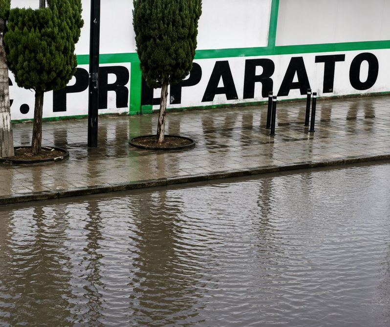 A wet street with reflections in puddles, green-topped trees lining the sidewalk, and a large wall with the word 'PREPARATO' prominently displayed.