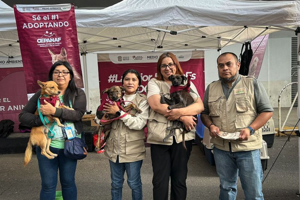 Cuatro personas sosteniendo perros en un evento de adopción de mascotas, bajo un toldo con pancartas sobre adopción de animales.