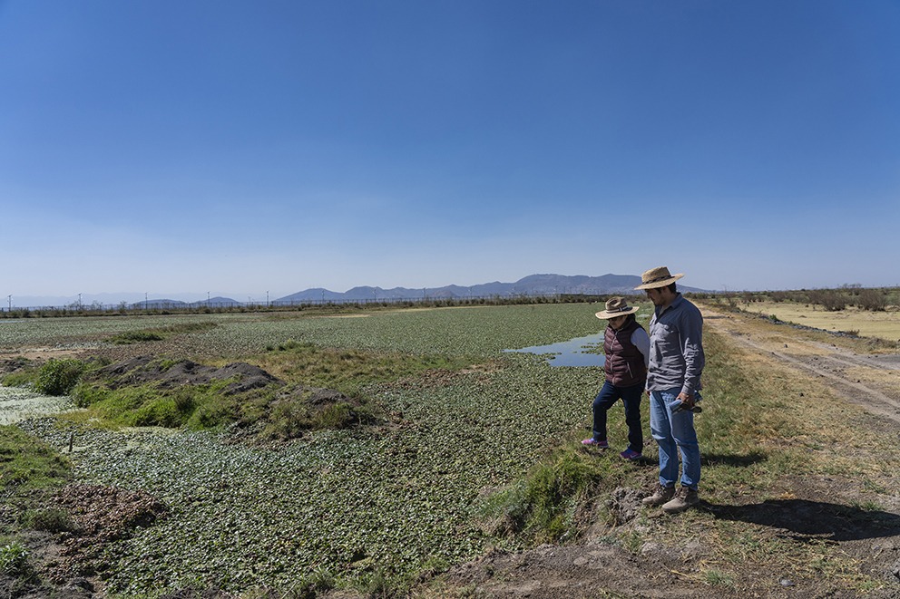 Dos personas observando un campo con vegetación y agua, bajo un cielo despejado.