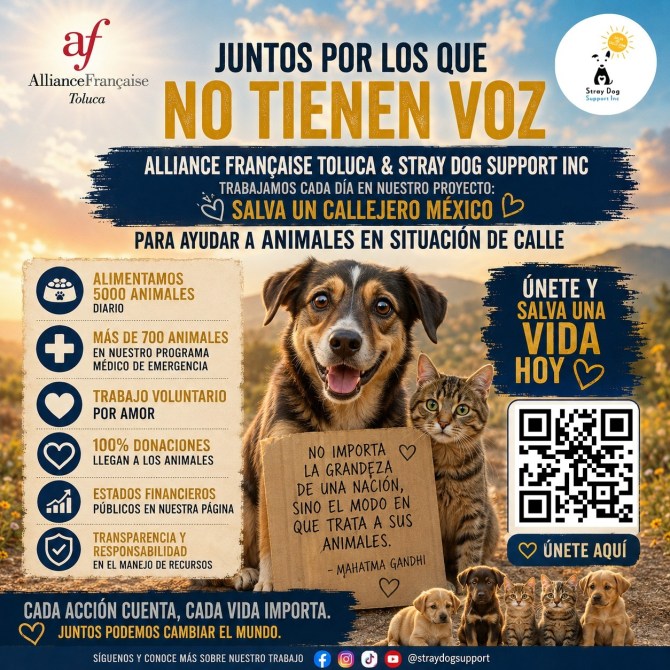 A promotional graphic for Alliance Française Toluca and Stray Dog Support Inc. showcasing their efforts to help street animals. The image features a happy dog and a cat, alongside text highlighting their daily feeding program, emergency medical aid, volunteer work, and call to action for donations and support.